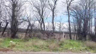 Nature love 2