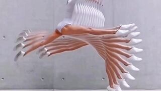Arts Collection So amaizing and Beutiful