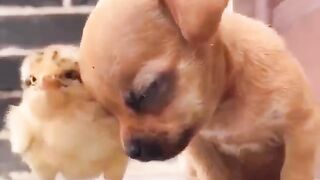 Very nice video ???? 3