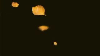 Entertainment video 4