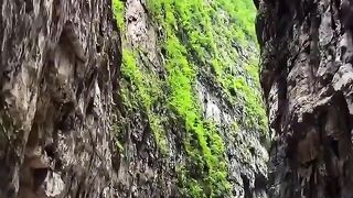 Beauty _ Mountain Views - Greenery