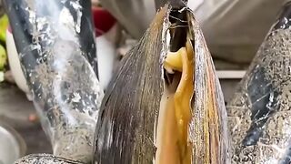 Cooking a large mussel