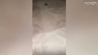 Funny Tik Tok compilation ????????