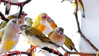 Good morning 5