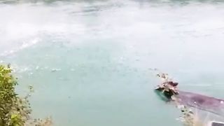 Brave men rescue drowning cow!