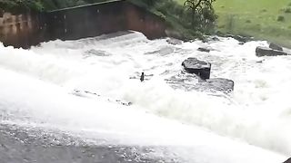 Heroic gardener steps in into an impossible rescue