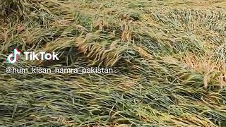 Bad weather in Pakistan