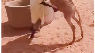 Funny 59