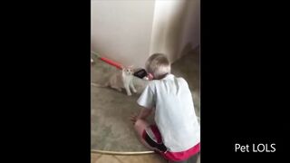 Best Funny Animal Videos 2023 ???? | Funny cats / dogs Videos Compilation????- Pet LOLs