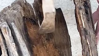 Making a little garden inside wood