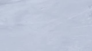 Little girl snowboarding like a pro