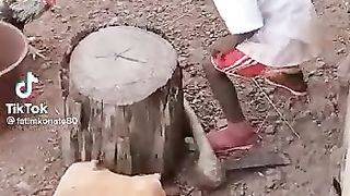 L'enfant es le coq