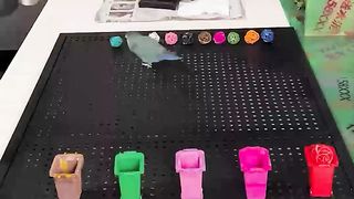 Just a clever parrot matching the box with colors