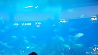 Dubai 6