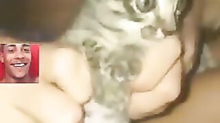 Gato ????❤️