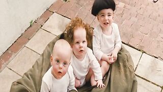 The Three Stooges|Funny Scenes