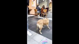 Si tu rigoles 1,5 fois, tu recommences la vidéo 2