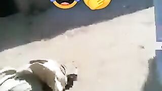 New Funny clip # latest funny video / funny scene 2023