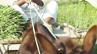 New comedy video # saleem and Goga pastori funny video upload 2023