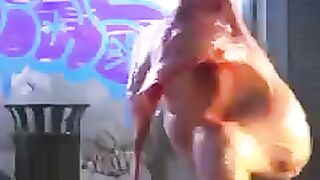 Chicken dance 2