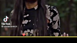 Shero shayari videos 3