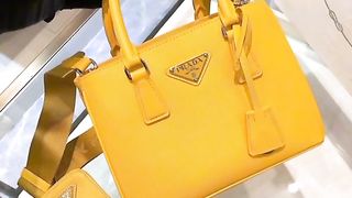 Purse 3