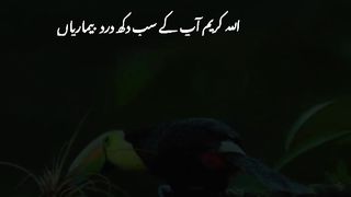 Good morning have a nice day