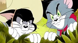 Best cartoon tom and jerry
