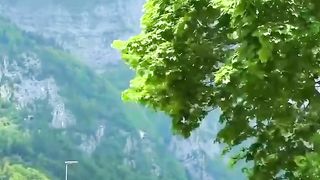 Thankyou for 2m view#nature .......#explorepage #ex #viral #kpop #trendinvideosvibe