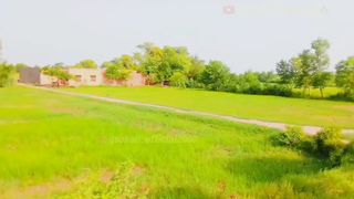 Village Beauty || Village LifeStyle || Beautiful View OF Village