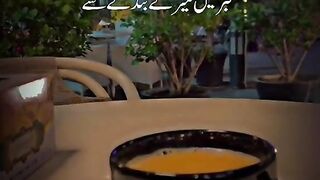 اللہ کتنا غفور رحیم ہے میری بھائیوں