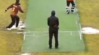 Funny moment in cricket match