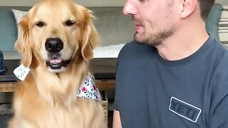 Whisker Tickle” was so hard to say #blooper #dog