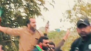 PTI tigers 2