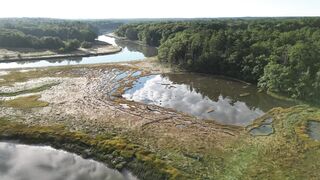 Swamp river