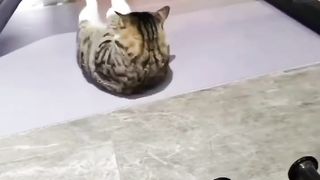 Motivation 7