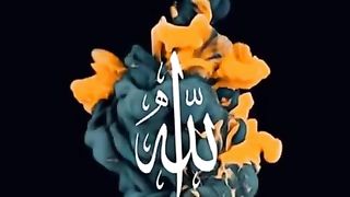 Recite 256 2
