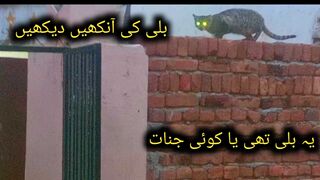 Bili ki ankhain dakhin