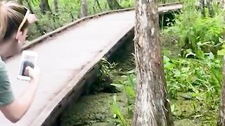 TRY NOT TO LAUGHING I Best Funny Videos Compilation 2023 # 36
