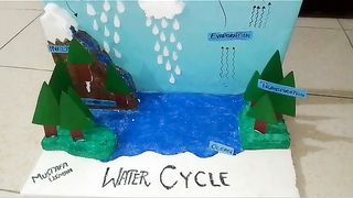 Science project