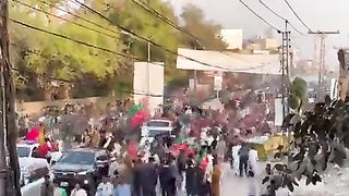 Pti tigers 2