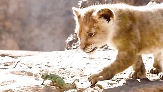 Simba part2