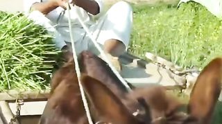 Funny video||comedy video 2