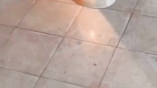 These cute little guys
