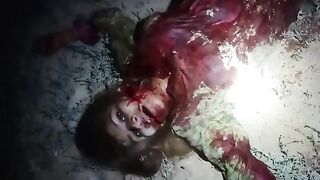Ap sosnak video