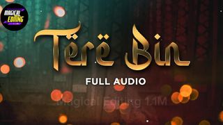 Tere Bin OST | Wahaj Ali | Yumna Zaidi | Pakistani Drama Song