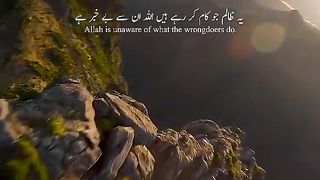 Islamic 22