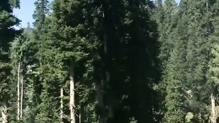 Adventure beauty of kashmir 2