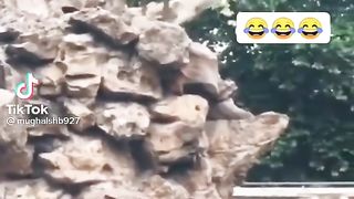 Funny 75
