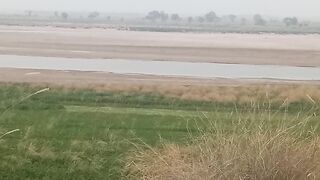 The river of chinab